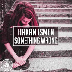 Hakan Ismen - Something Wrong (Original Mix)