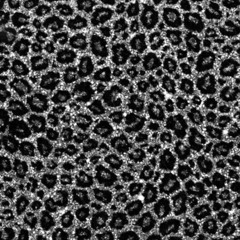 ไปกินข้าว(Dinner).Remix