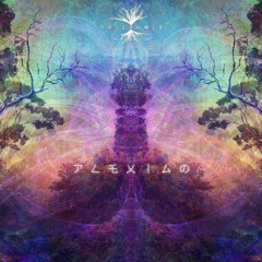 Plexigo - Fractal Dawn [Twilight Forest Psytrance] • DJ-Set • 2O22