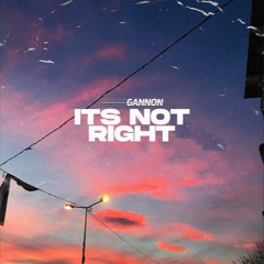 Mark Gannon - It's Not Right