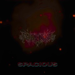 SPACIOUS (FREE DL)