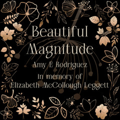 Beautiful Magnitude