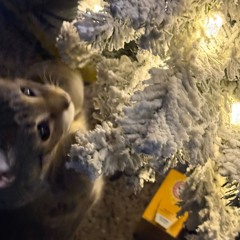 Intro (Prod.Marvinwhat)