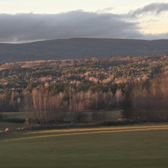 placeholder91 (alan walker boombap)