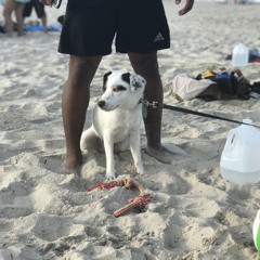 Pretty Lucky Lightning(freestyle)