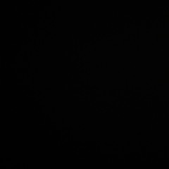 سواحل جورجيا _ ع العسيري