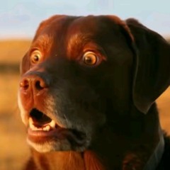 [DETEC] Criza - YeaYea