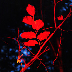 01 Between Water and Circuitry