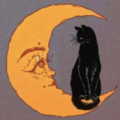 NYE 2025 𓍊𓋼𓍊 Shroomies & Friends @ Moonshine Tribe, IT ⏾