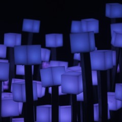 Clear Night