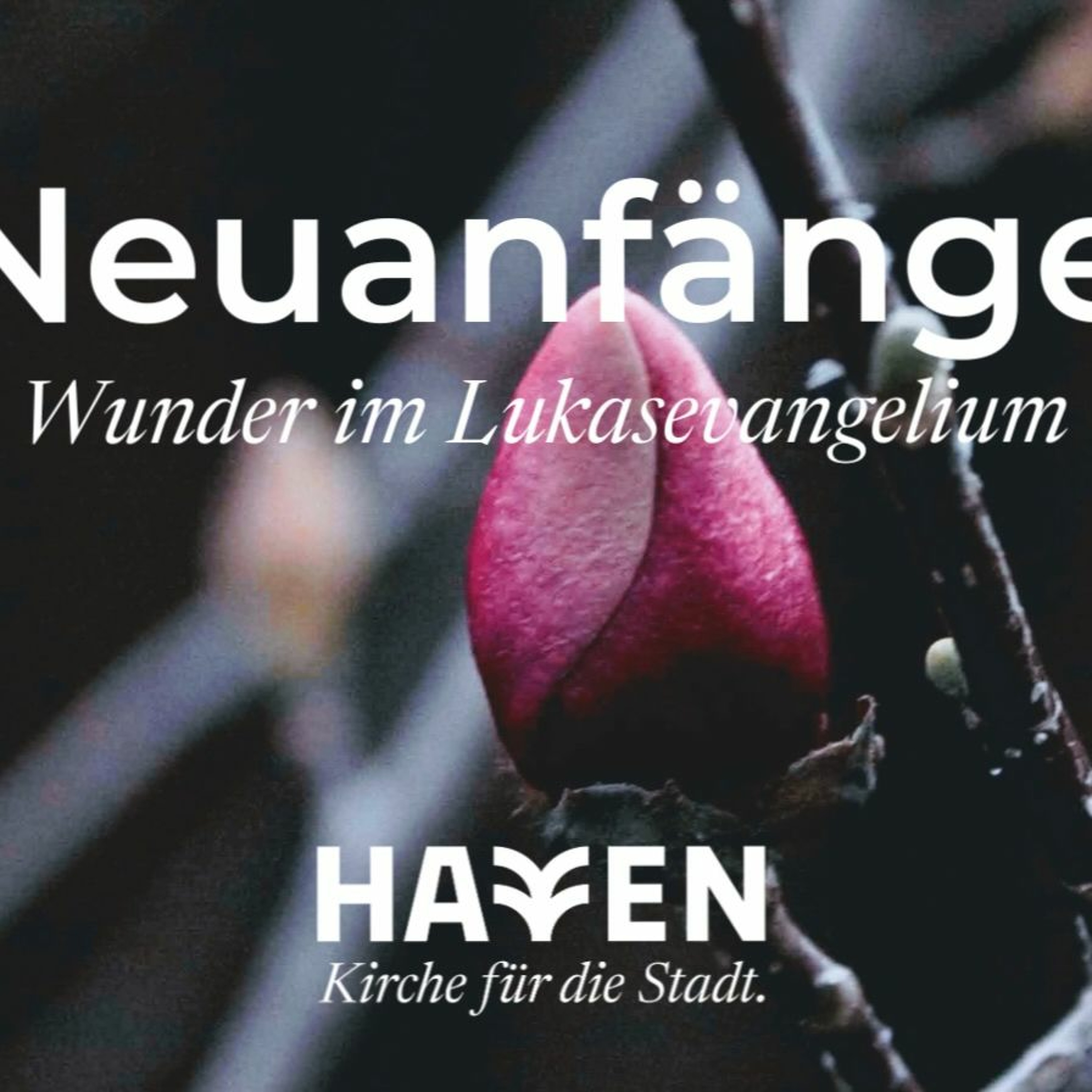 HAVEN Hamburg