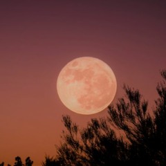 It's All About Love ~ Full Moon Meditation ~ February 2021