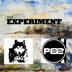 EXPERIMENT Instrumental  REMIX  (GN & P82 )