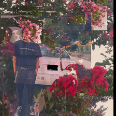 Summer, how long? (demo)