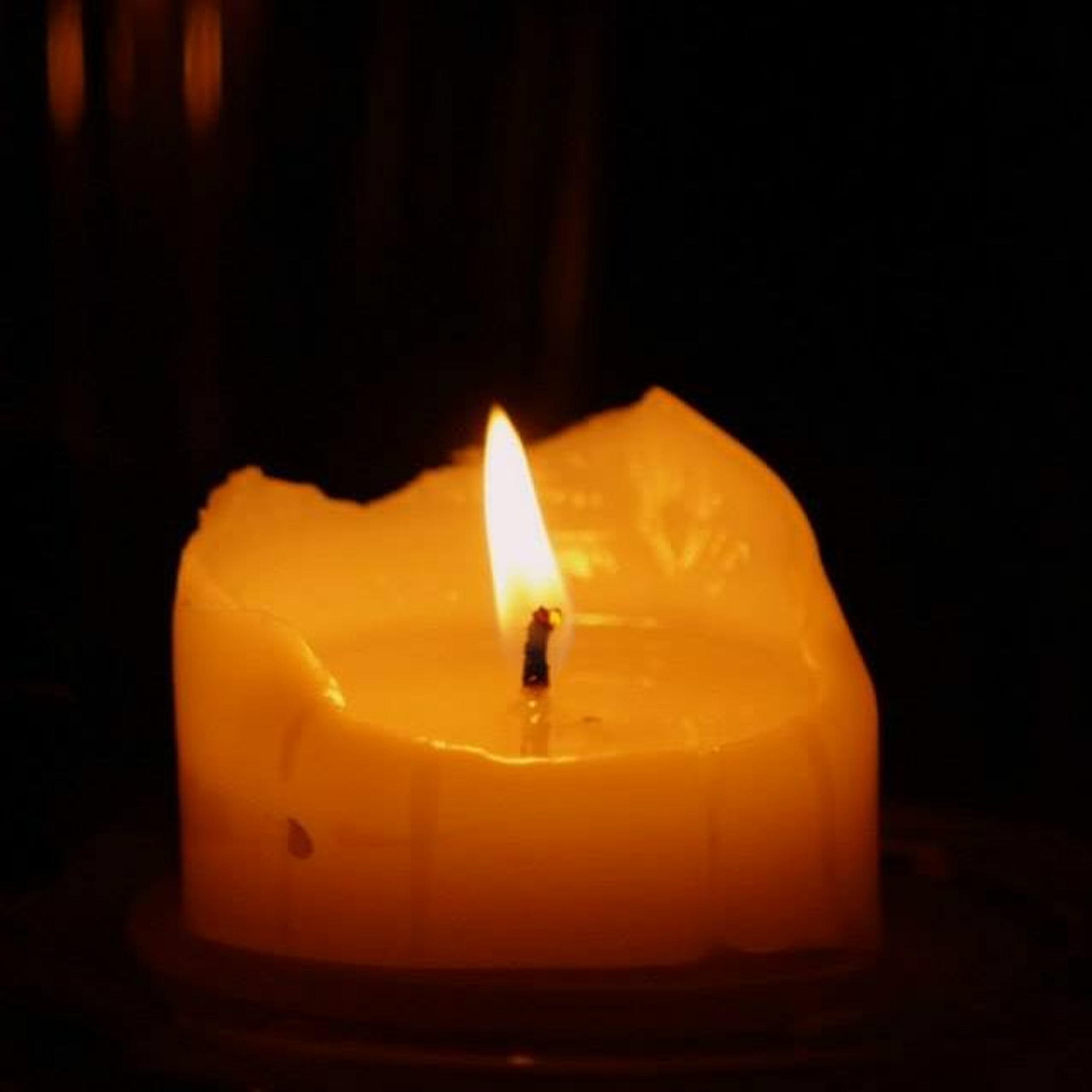 carol@carolgrimes.com