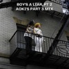 Boy's A Liar pt 2 (Aoki's Part 3 Mix)