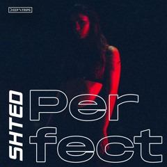 SHTED - Perfect (Original Mix)