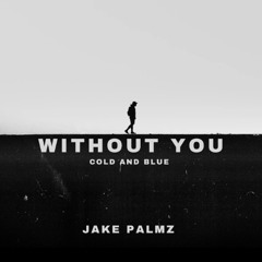 Jake Palmz - Without You ( Cold And Blue )
