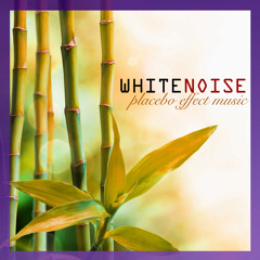 Placebo Effect White Noise