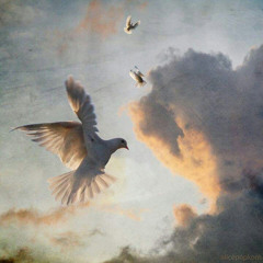 Emotionally Scarred (prod. jay bunkin)