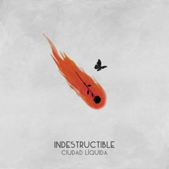 Indestructible