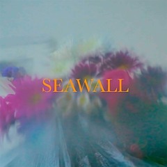 Neev - Seawall (Daz Scott's 'Dirty Organ' Mix) *REMIX COMP ENTRY*