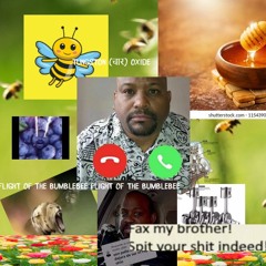 Tungston (चार) Oxide - Flight Of The Bumblebee (Feat. lotion☆man)