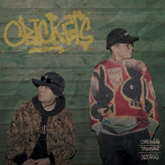 Crickets (feat. XCCESS)