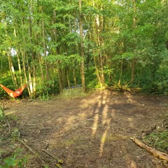 Hinterm Wald - Outdoor Rave 2023