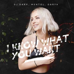 Dj Dark, Mentol, Darya - I Know What You Want