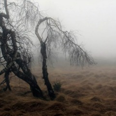 アステリアの王冠いばらの王冠 background music for presentation FREE DOWNLOAD