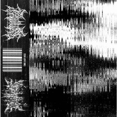 PH3ONIX X PXRX - THE END