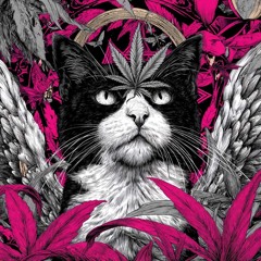 kurly6 - wtf does she see in me (Prod. SurrealChapo) [KURLY6 MIXX]