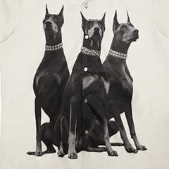 OFF THE WALL FREESTYLE