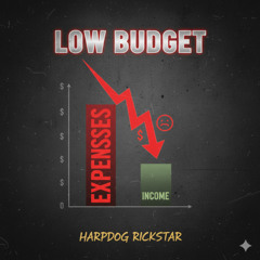 Low budget (version5)