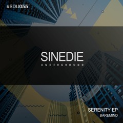 Serenity (Original Mix)