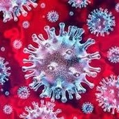 Covid:19 23 - 03 - 20 Pevi