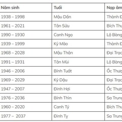 Người mệnh Thổ nên mua xe màu gì?