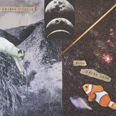 ANIMAL CIRCLE_ Episode 4_ANDRA LJOS_for TNP radio