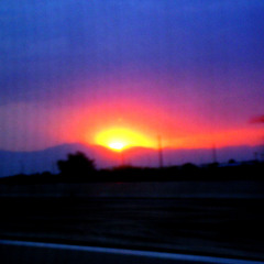 Roxane Pacifico - Dying (Hole Cover)