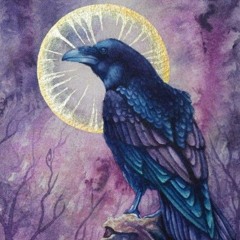 Elephant Revival-Raven Song (Aphorize Remix)