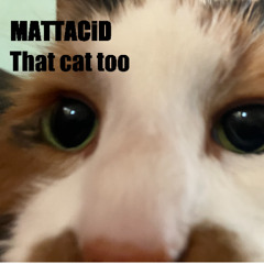 That cat too
