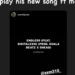 sowthpolar - endless (feat. sltted) (prod guala beatz x 5head)