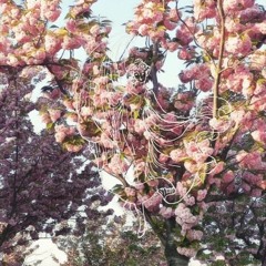 Eva baila en el jardín