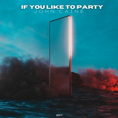 If You Like To Party (Radio Edit) [Wirlix Records]