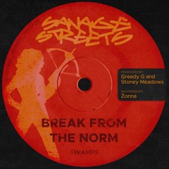 Break from the Norm – Swamps