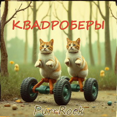 Коты-квадроберы