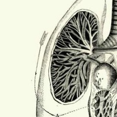 LUNG