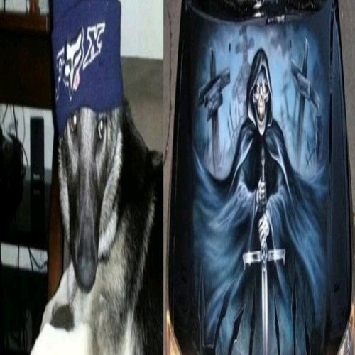 TYPE_BEAT_IS_TYPE_SHIT