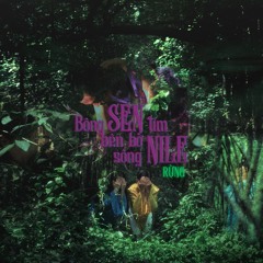 Bông Sen Tìm Bên Bở Sông Nile